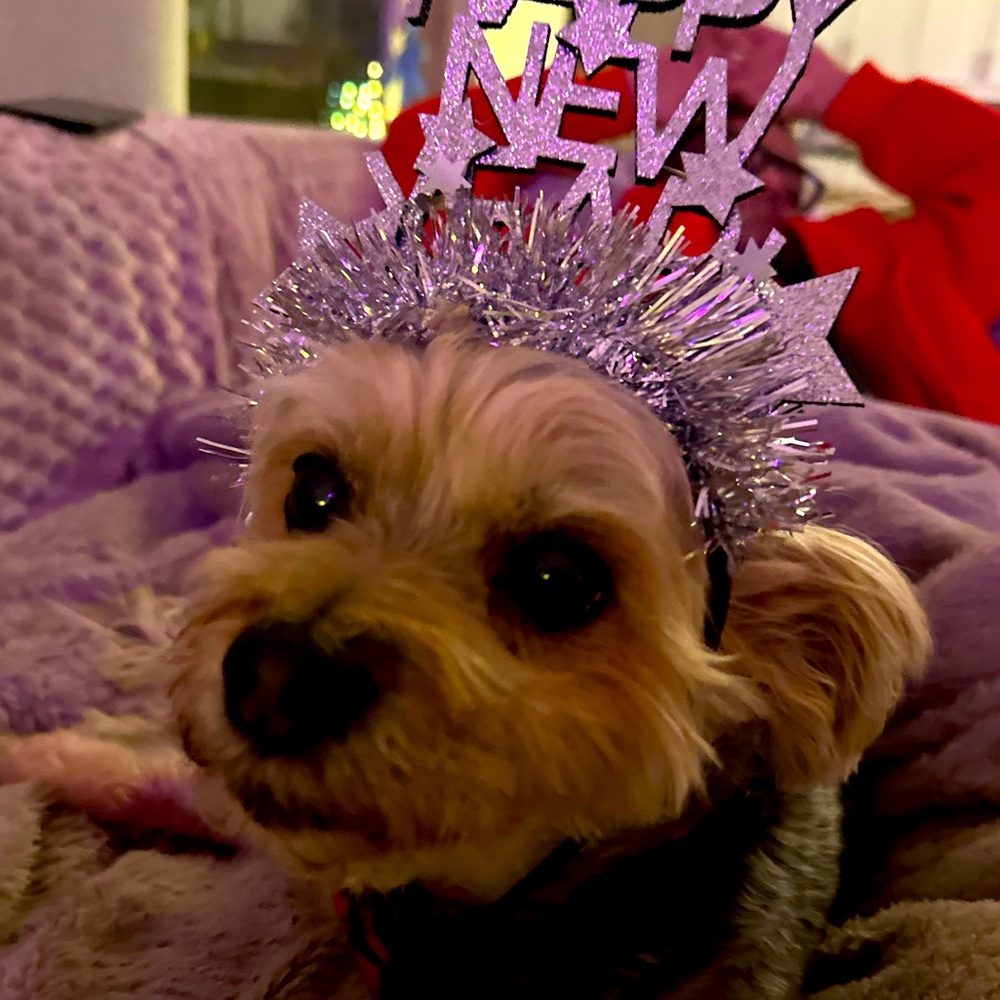 Meet your Posher, Sara